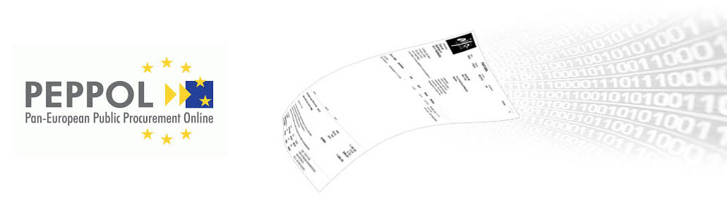 Pan-European Public Procurement Online Pan-European Public Procurement Online