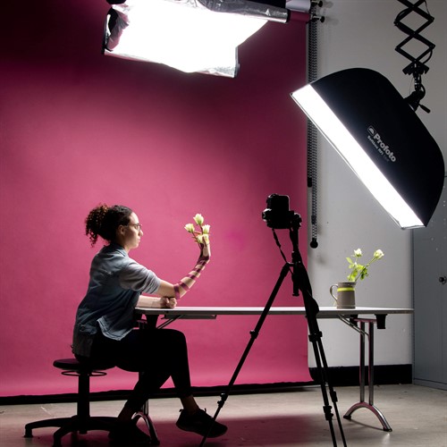 Colorama Damson Sampel Image