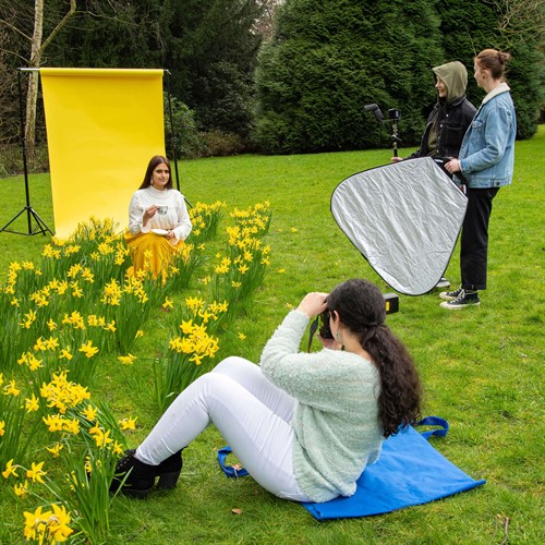 Colorama Dandelion Sampel Image