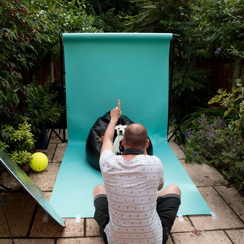 Colorama Larkspur Sample Image