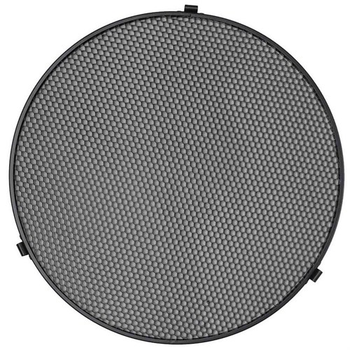 Grid that controls the beam