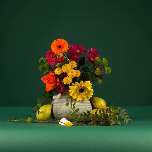 Colorama Spruce Green Sampel Image