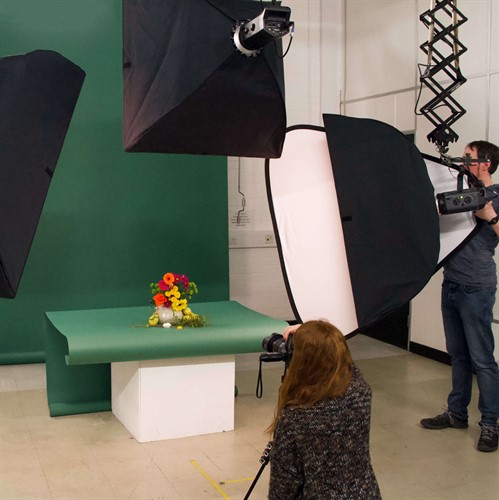 Colorama Spruce Green Sampel Image