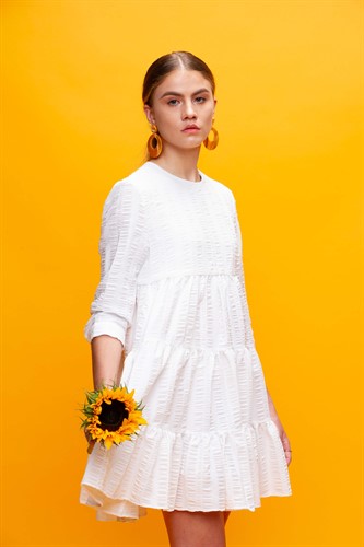 Sample Image Colorama Sunflower