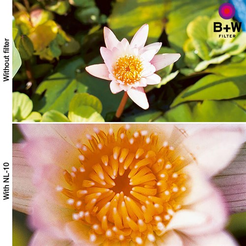 Bildexempel med och utan närbildslins NL-10