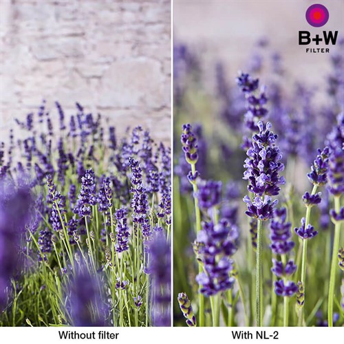 Bildexempel med och utan närbildslins NL-2