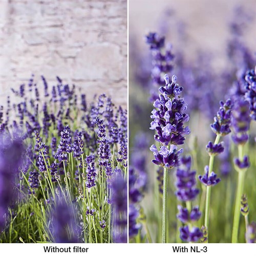 Bildexempel med och utan närbildslins NL-3