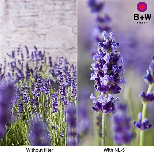 Bildexempel med och utan närbildslins NL-5