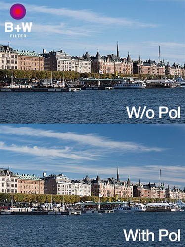 Sample image polarizer filter