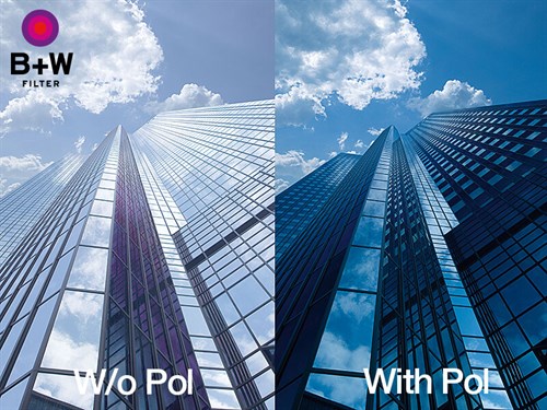 Sample image polarizer filter