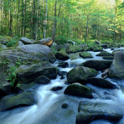 Sample Image Graduated Grey Filter