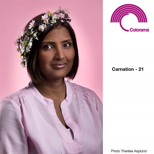 Colorama Carnation 21 - Photo Theresé Asplund