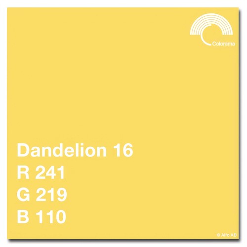 Dandelion 16 - Kalibrerad Monitor Adobe RGB 6500K