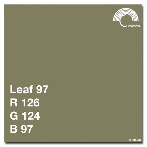 Leaf 97 - Kalibrerad Monitor Adobe RGB 6500K