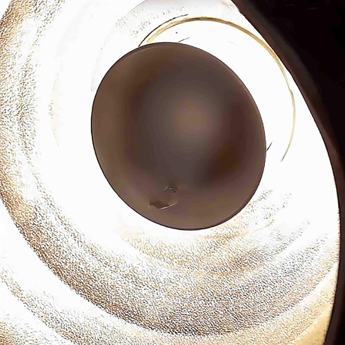 Elinchrom Deflektor monterad i reflektor