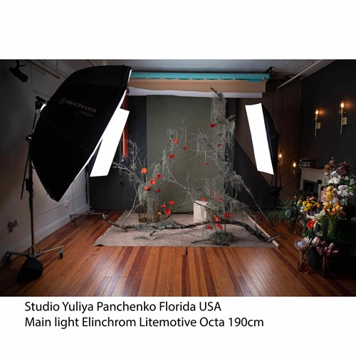 Yuliya Panchenko Studio Main light Litemotiv 190cm