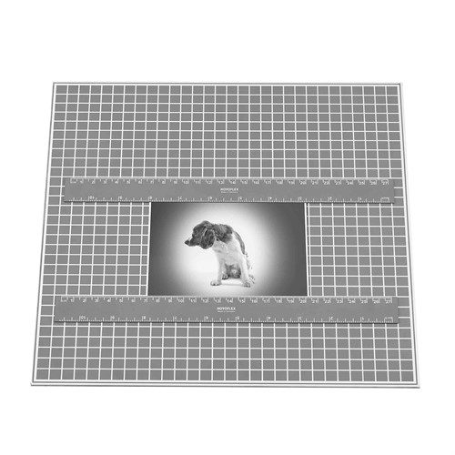 Två magnetiska linjaler håller fotografier plana