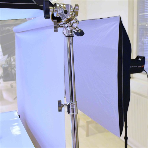 The background is illuminated by a studio flash.