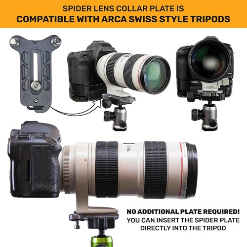 Arca-Swiss style tripod profile