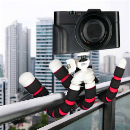 Set up your camera for the perfect shot