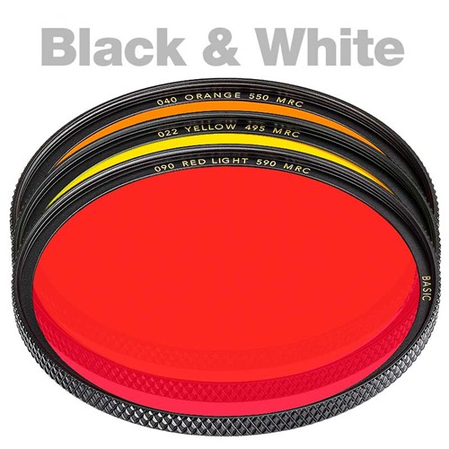 Black &amp; White Filter