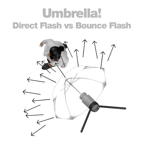 Umbrella for photo - Learn more