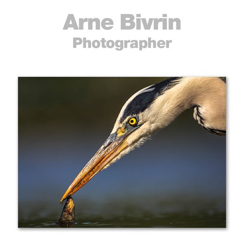 Fotograf Arne Bivrin