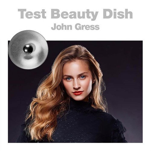 Choose the best beauty dish for you