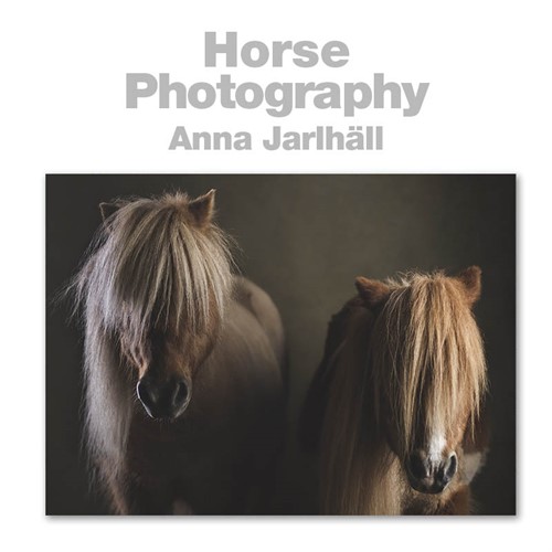 Horse Photography