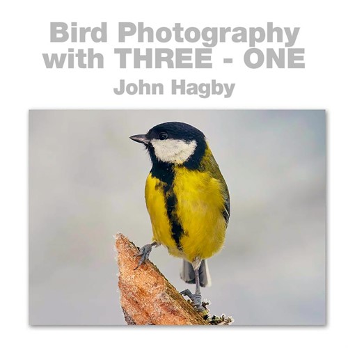 Bird Photography with Studio Flash