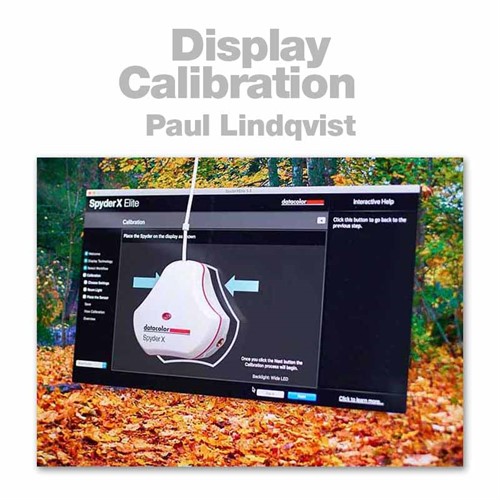 Monitor calibration | Paul Linqvist