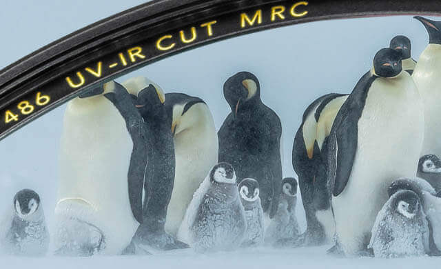 Ad:003 ban-bwf-ir-003.jpg